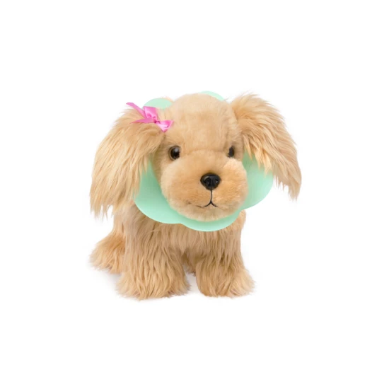 Roztomilý kokršpaněl v kabelce s veterinářskou sadou