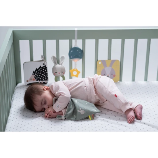 Sada hraček Bedtime Kit – Taf Toys 13265TAF