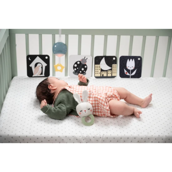 Sada hraček Bedtime Kit – Taf Toys 13265TAF