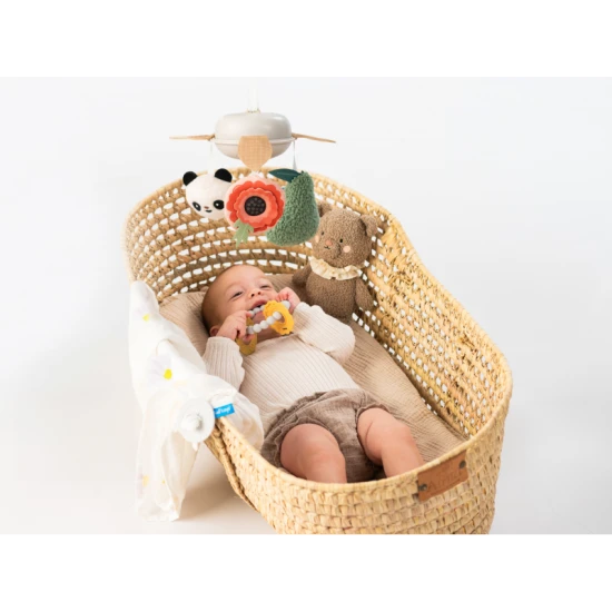 TAF TOYS Sada hraček Newborn Luxe Luxusní dárkový box Newborn Luxe pro miminka – hudební kolotoč, plyšový medvídek, kousátko a textilní plenka.