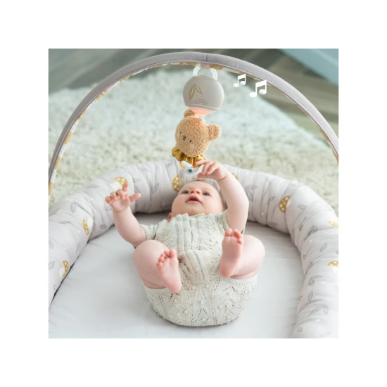 Hnízdo pro miminko s hrazdou Little Explorer