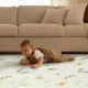 Tiny Love Skládací pěnová hrací podložka Boho Chic