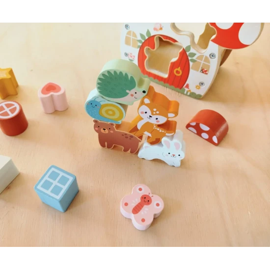 Dřevěná vkládačka Tvary Domeček s 12 barevnými tvary pro děti