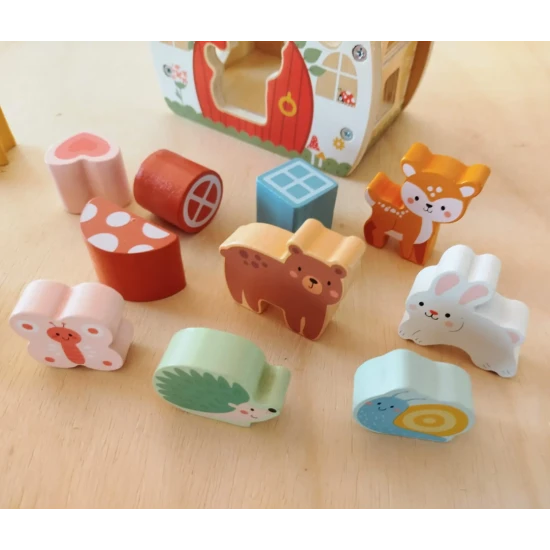 Dřevěná vkládačka Tvary Domeček s 12 barevnými tvary pro děti