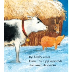 Husa Líza a vánoční hvězda Husa Líza a vánoční hvězda