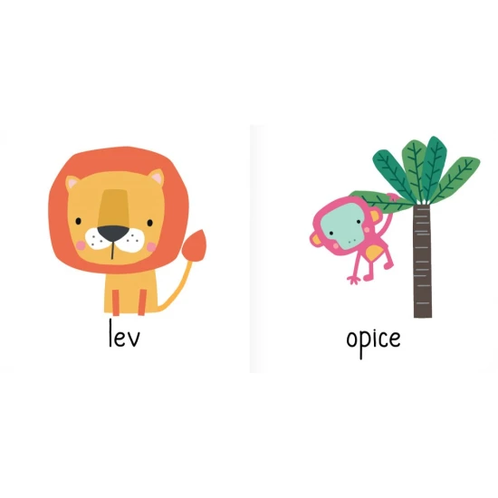 Zvířátka ze statku, v divočině, v moři, ze zoo, mláďátka i ta nejmenší zvířátka. Dítě se zábavnou formou naučí rozeznávat šedesát zvířátek!