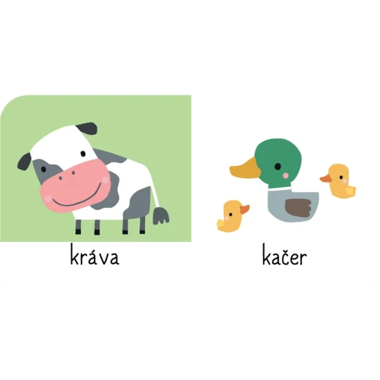 Zvířátka ze statku, v divočině, v moři, ze zoo, mláďátka i ta nejmenší zvířátka. Dítě se zábavnou formou naučí rozeznávat šedesát zvířátek!