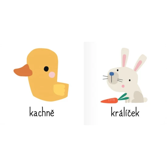 Zvířátka ze statku, v divočině, v moři, ze zoo, mláďátka i ta nejmenší zvířátka. Dítě se zábavnou formou naučí rozeznávat šedesát zvířátek!