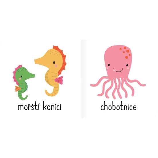 Zvířátka ze statku, v divočině, v moři, ze zoo, mláďátka i ta nejmenší zvířátka. Dítě se zábavnou formou naučí rozeznávat šedesát zvířátek!