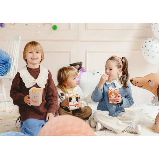 Krabičky na občerstvení Psi na dětskou narozeninovou party