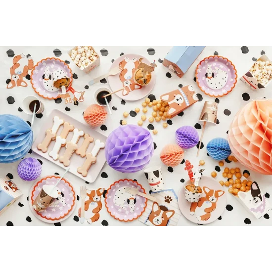 Papírové talíře Dalmatin na dětskou narozeninovou party