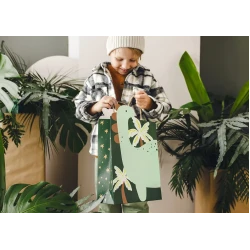 Dárková taška Dinosaurus