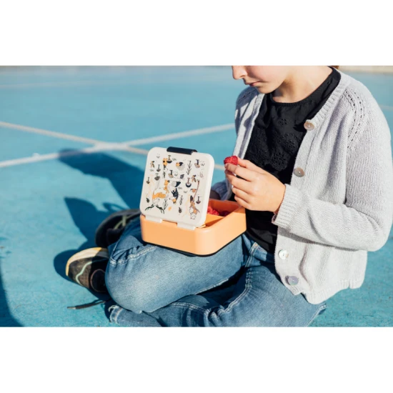 Svačinový box Lesní zvířata