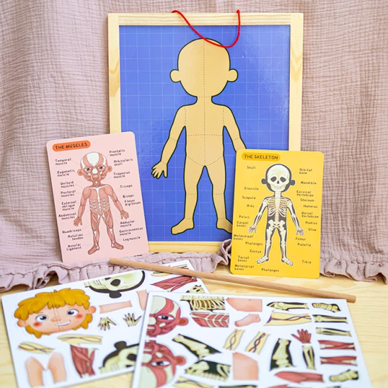 Magnetická skládačka Lidské tělo pro děti