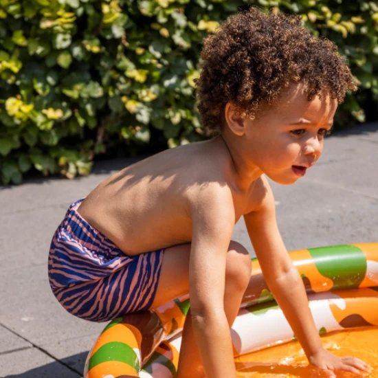 Dětské chlapecké plavky šortky s UPF 50+ Zebra Swim Essentials